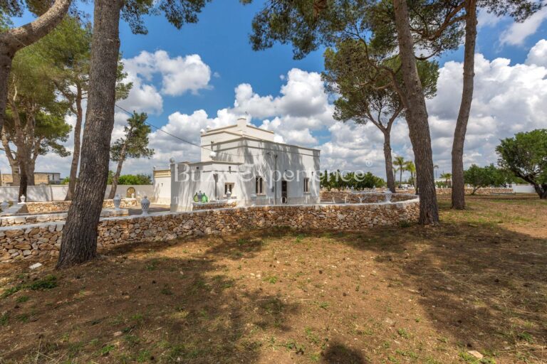 Buzz_Experience-MasseriaPiccolaDolceVita-Manduria_21