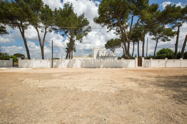 Buzz_Experience-MasseriaPiccolaDolceVita-Manduria_82