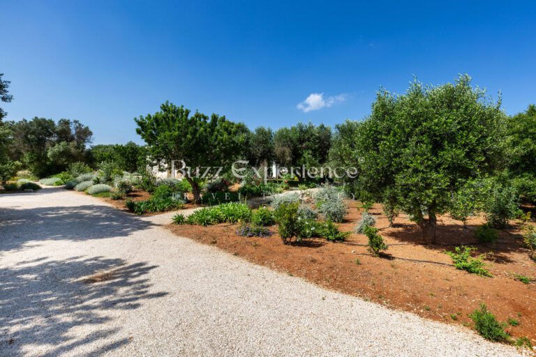 Buzz_Experience-Casa_Bella_Vista-Carovigno_62