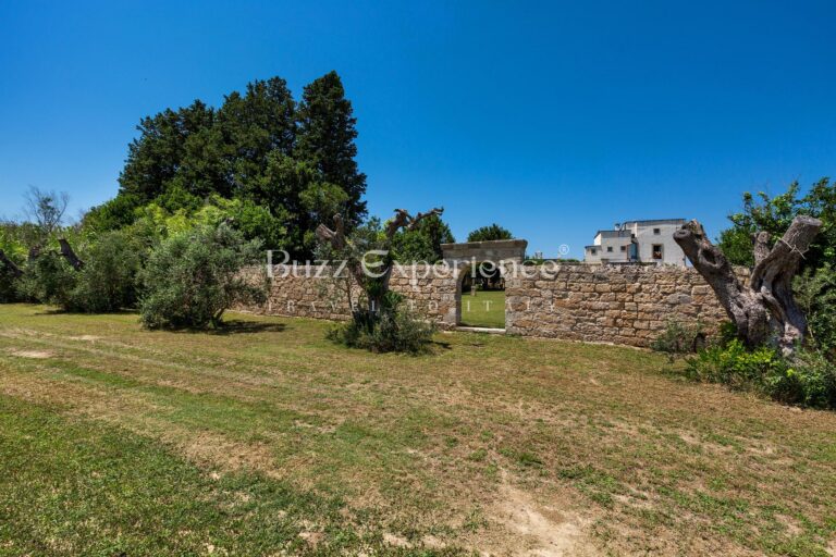 Buzz_Experience-Casina_Serenata_110