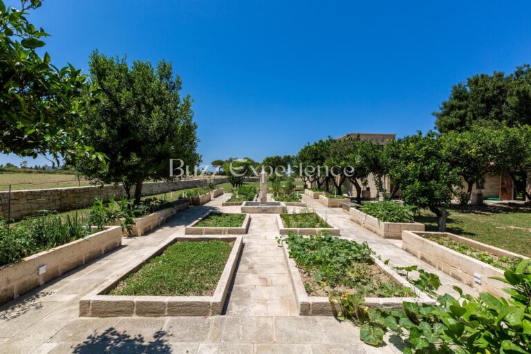 Buzz_Experience-Casina_Serenata_111