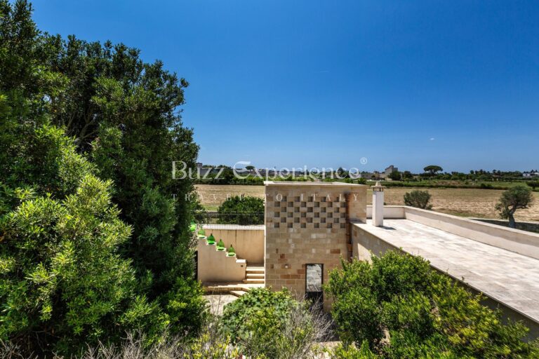 Buzz_Experience-Casina_Serenata_53