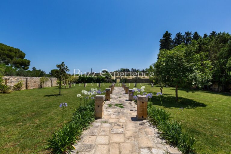 Buzz_Experience-Casina_Serenata_94