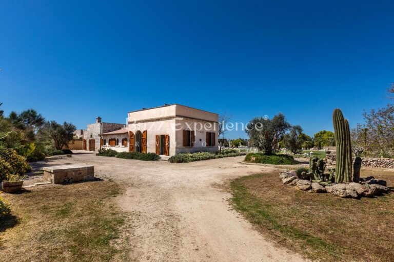 Buzz_Experience-Masseria_San_Martino-Montesano_Salentino_16