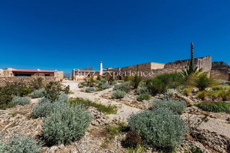 Buzz_Experience-Masseria_San_Martino-Montesano_Salentino_87