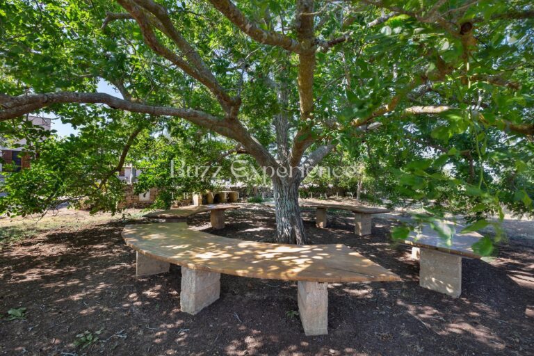 Buzz_Experience-Masseria_San_Martino-Montesano_Salentino_91