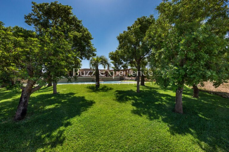 Buzz_Experience-Masseria_San_Martino-Montesano_Salentino_93