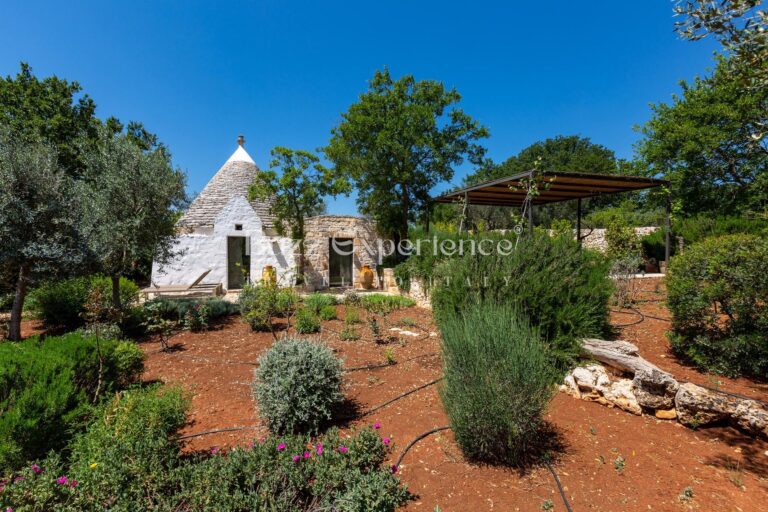 Buzz_Experience-Trulli_Panorama-Ostuni_126
