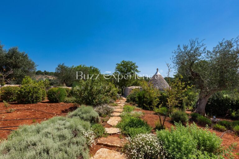 Buzz_Experience-Trulli_Panorama-Ostuni_130