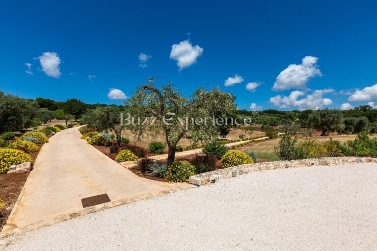 Buzz_Experience-Trulli_Panorama-Ostuni_146