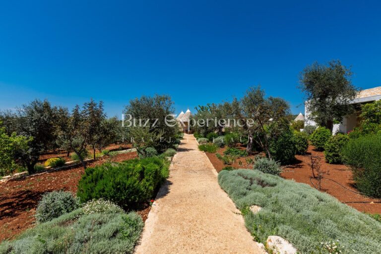 Buzz_Experience-Trulli_Panorama-Ostuni_19