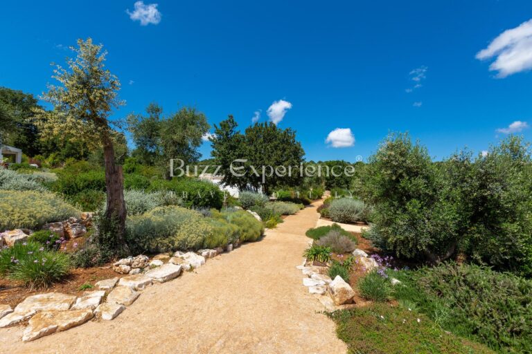 Buzz_Experience-Trulli_Panorama-Ostuni_20