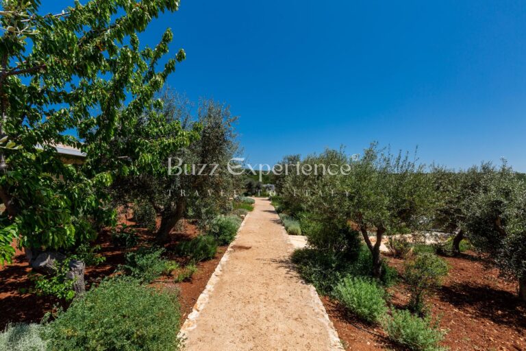 Buzz_Experience-Trulli_Panorama-Ostuni_77