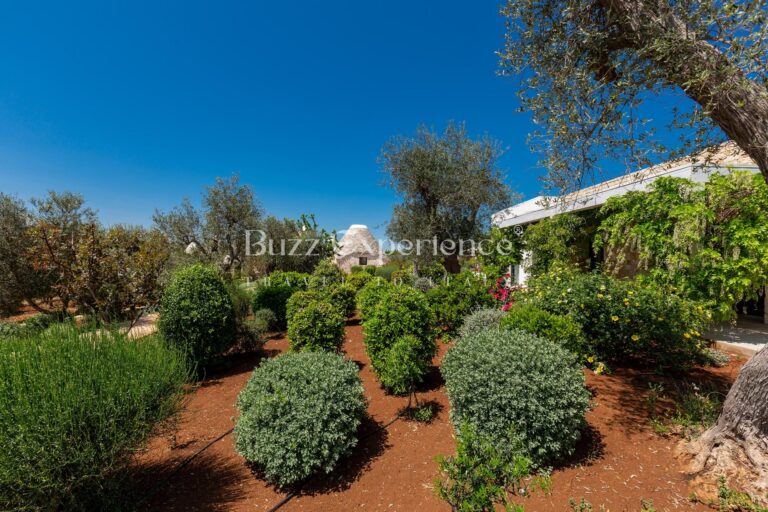 Buzz_Experience-Trulli_Panorama-Ostuni_8