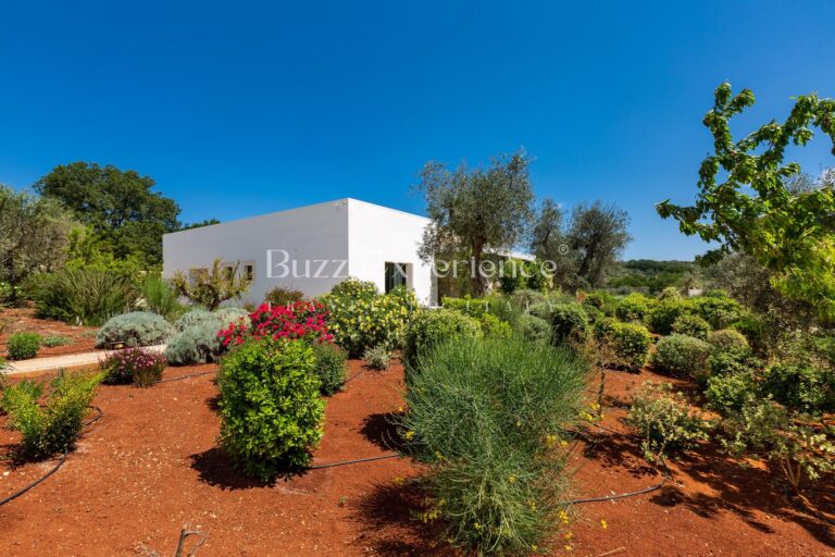 Buzz_Experience-Trulli_Panorama-Ostuni_9