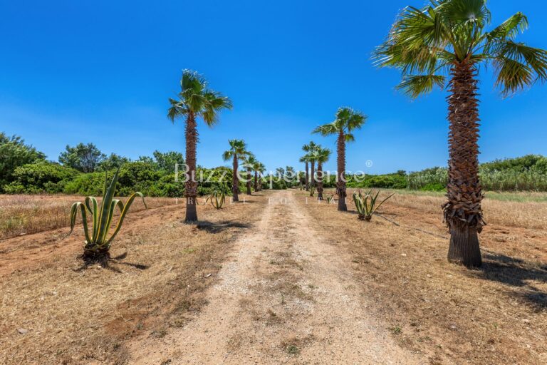 Buzz_Experience-Villa_Marechiaro-Campomarino_50