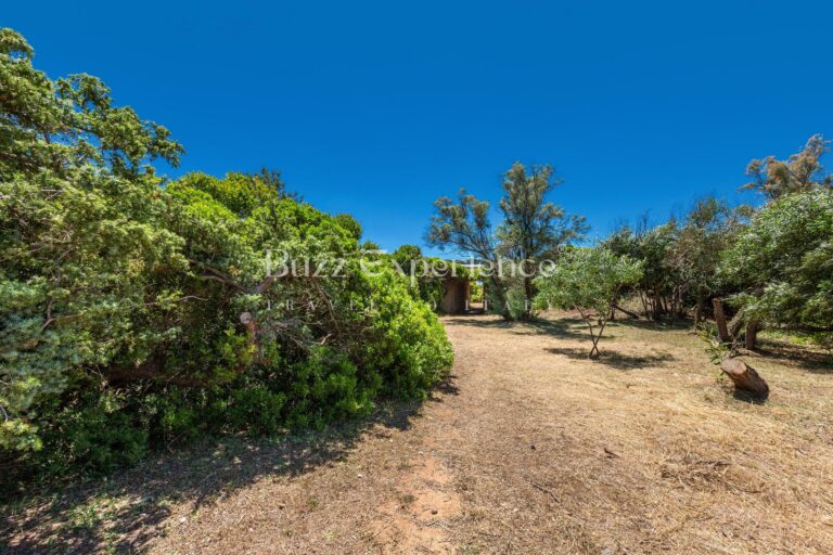 Buzz_Experience-Villa_Marechiaro-Campomarino_51